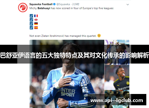 巴舒亚伊语言的五大独特特点及其对文化传承的影响解析 巴舒亚伊语言的五大独特特点及其对文化传承的影响解析