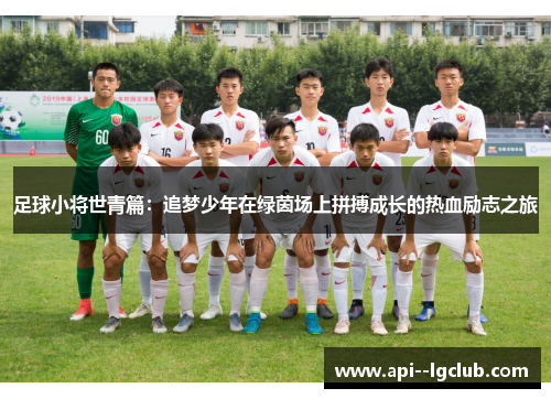 足球小将世青篇：追梦少年在绿茵场上拼搏成长的热血励志之旅
