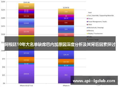 阿根廷10年大名单缺席巴内加原因深度分析及其背后因素探讨 阿根廷10年大名单缺席巴内加原因深度分析及其背后因素探讨
